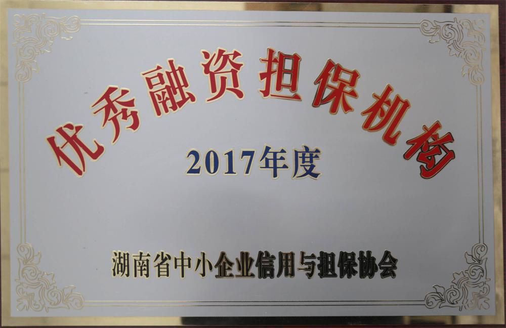 2017年度优秀融资担保机构