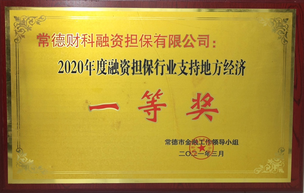 常德财科融资担保有限公司：2020年度融资担保行业支持地方经济一等奖