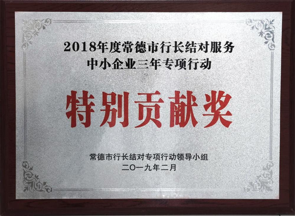 2018年度常德市行长结对服务中小微企业三年专项行动特别贡献奖