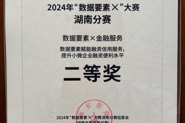 2024年“数据要素X”大赛湖南分赛二等奖——常德金融超市